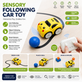 Sensory Following Car